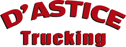 dastice-trucking-logo